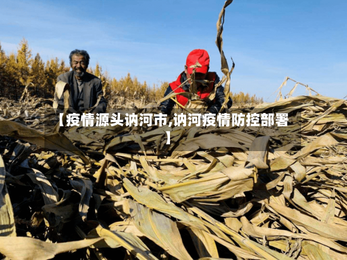 【疫情源头讷河市,讷河疫情防控部署】-第1张图片