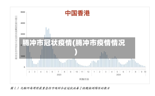 腾冲市冠状疫情(腾冲市疫情情况)-第1张图片