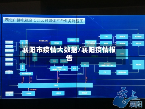 襄阳市疫情大数据/襄阳疫情报告-第2张图片