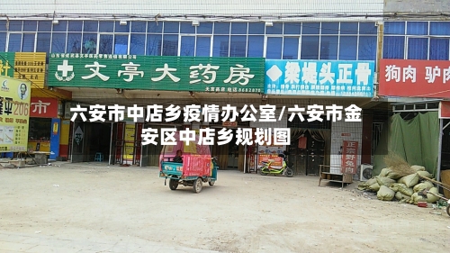 六安市中店乡疫情办公室/六安市金安区中店乡规划图-第3张图片