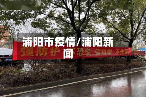 浦阳市疫情/浦阳新闻-第2张图片