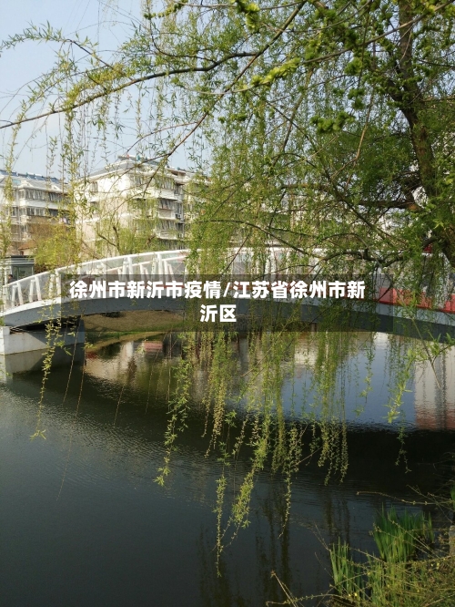 徐州市新沂市疫情/江苏省徐州市新沂区-第3张图片