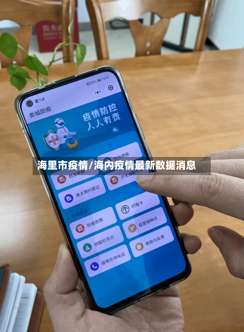 海里市疫情/海内疫情最新数据消息-第2张图片