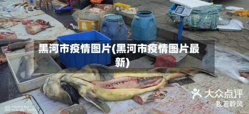 黑河市疫情图片(黑河市疫情图片最新)-第1张图片