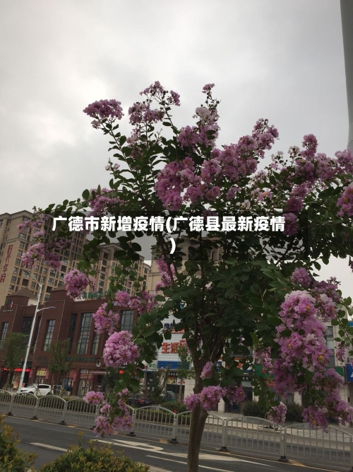 广德市新增疫情(广德县最新疫情)-第1张图片