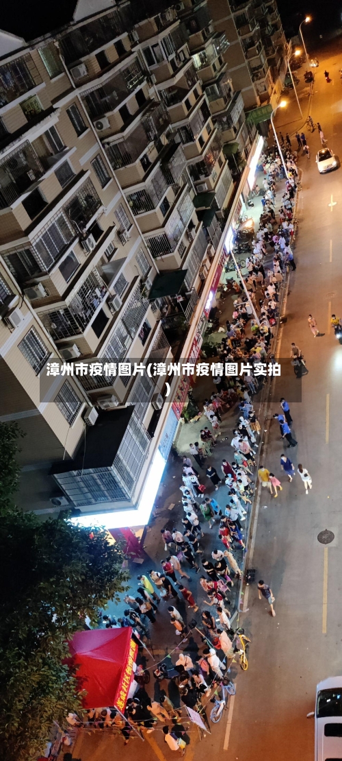 漳州市疫情图片(漳州市疫情图片实拍)-第2张图片