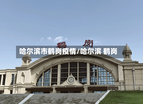哈尔滨市鹤岗疫情/哈尔滨 鹤岗-第2张图片