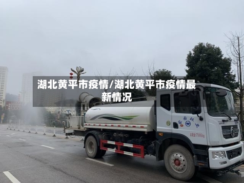 湖北黄平市疫情/湖北黄平市疫情最新情况-第3张图片