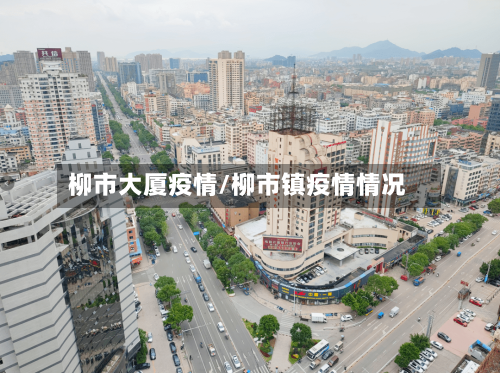 柳市大厦疫情/柳市镇疫情情况-第1张图片