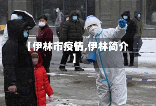 【伊林市疫情,伊林简介】-第1张图片