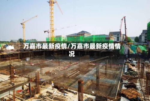 万嘉市最新疫情/万嘉市最新疫情情况-第2张图片