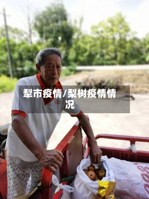 犁市疫情/梨树疫情情况-第1张图片