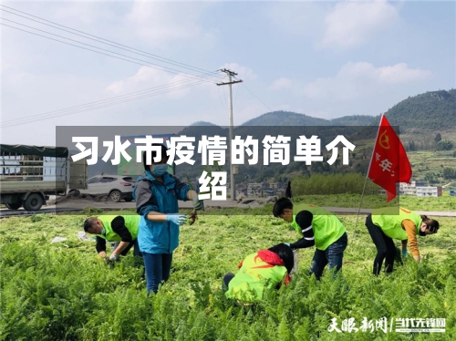 习水市疫情的简单介绍-第1张图片