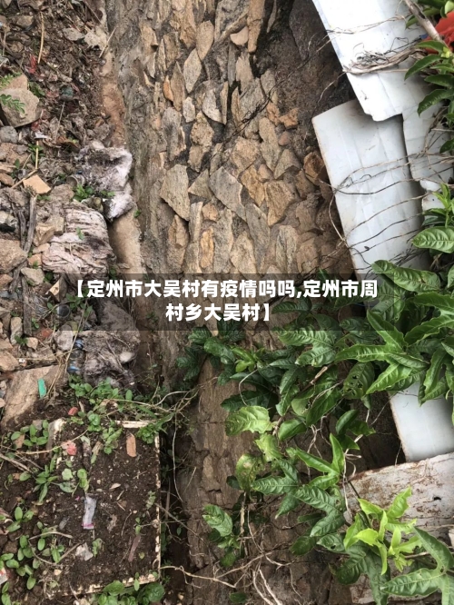 【定州市大吴村有疫情吗吗,定州市周村乡大吴村】-第1张图片