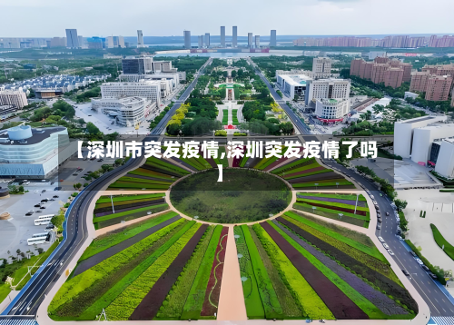 【深圳市突发疫情,深圳突发疫情了吗】-第2张图片