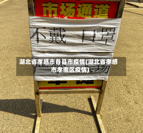 湖北省孝感市各县市疫情(湖北省孝感市孝南区疫情)-第3张图片