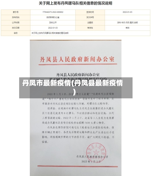 丹凤市最新疫情(丹凤县最新疫情)-第1张图片