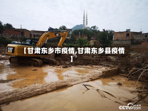 【甘肃东乡市疫情,甘肃东乡县疫情】-第3张图片