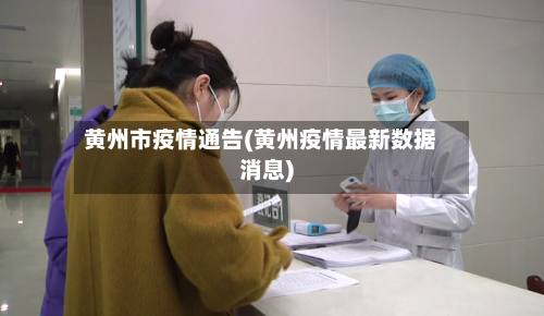 黄州市疫情通告(黄州疫情最新数据消息)-第3张图片