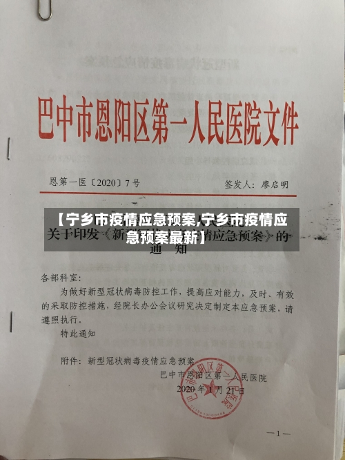【宁乡市疫情应急预案,宁乡市疫情应急预案最新】-第3张图片