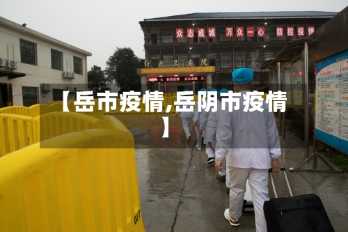 【岳市疫情,岳阴市疫情】-第1张图片