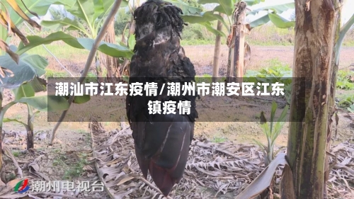 潮汕市江东疫情/潮州市潮安区江东镇疫情-第2张图片