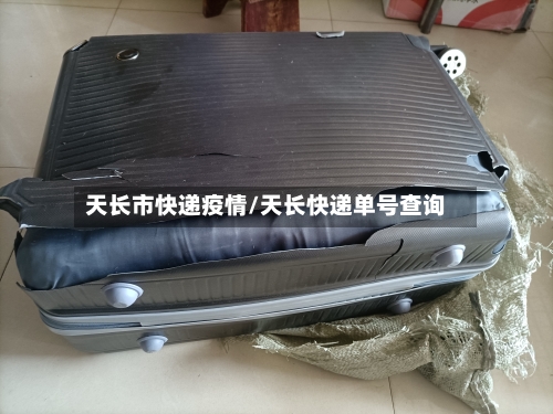 天长市快递疫情/天长快递单号查询-第2张图片