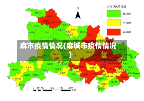 麻市疫情情况(麻城市疫情情况)-第2张图片