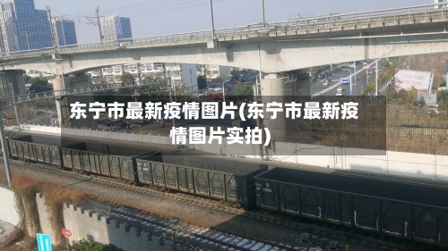 东宁市最新疫情图片(东宁市最新疫情图片实拍)-第1张图片