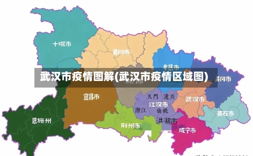 武汉市疫情图解(武汉市疫情区域图)-第2张图片