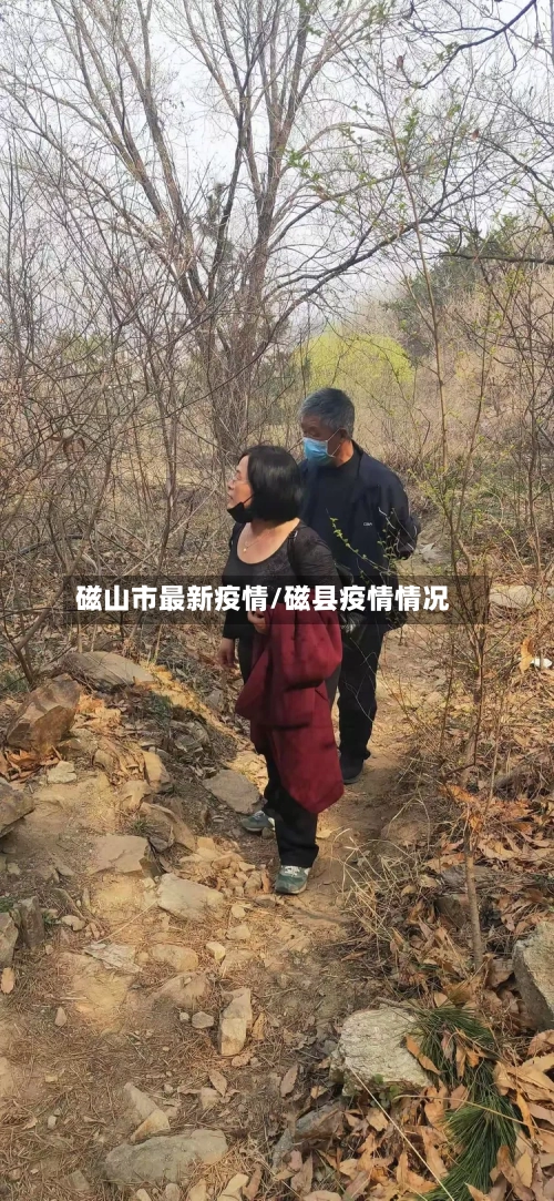 磁山市最新疫情/磁县疫情情况-第2张图片