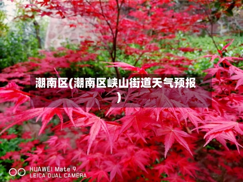 潮南区(潮南区峡山街道天气预报)-第1张图片