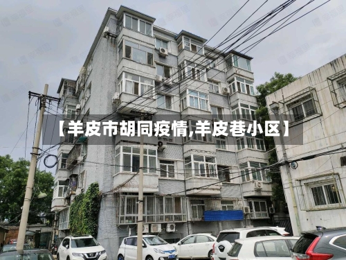 【羊皮市胡同疫情,羊皮巷小区】-第1张图片