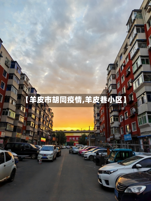 【羊皮市胡同疫情,羊皮巷小区】-第2张图片