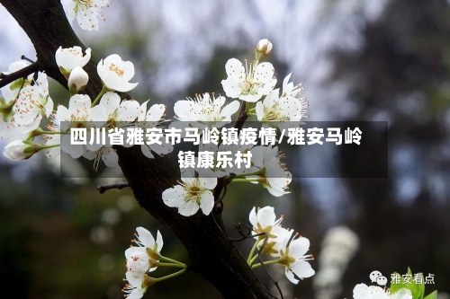 四川省雅安市马岭镇疫情/雅安马岭镇康乐村-第1张图片