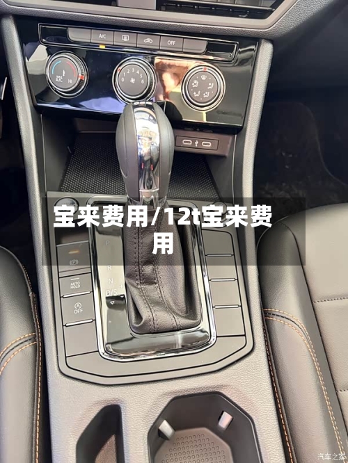 宝来费用/12t宝来费用-第3张图片