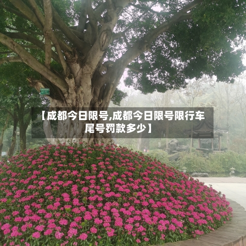 【成都今日限号,成都今日限号限行车尾号罚款多少】-第1张图片