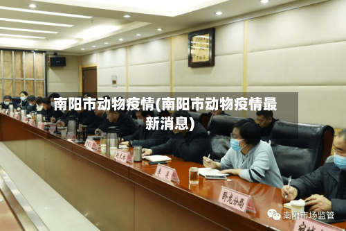 南阳市动物疫情(南阳市动物疫情最新消息)-第1张图片