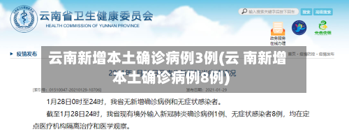 云南新增本土确诊病例3例(云 南新增本土确诊病例8例)-第2张图片