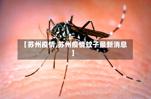 【苏州疫情,苏州疫情蚊子最新消息】-第2张图片