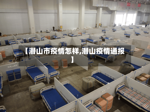 【潜山市疫情怎样,潜山疫情通报】-第2张图片