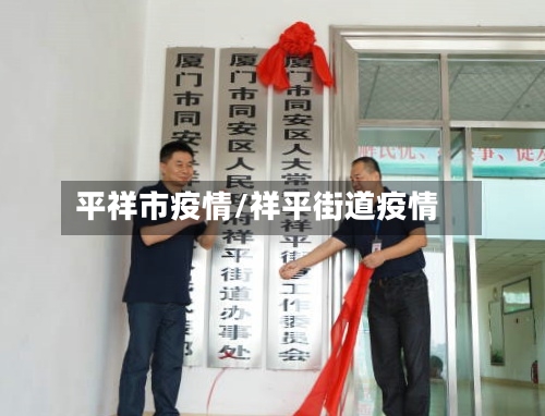 平祥市疫情/祥平街道疫情-第3张图片