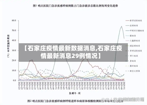【石家庄疫情最新数据消息,石家庄疫情最新消息29例情况】-第2张图片