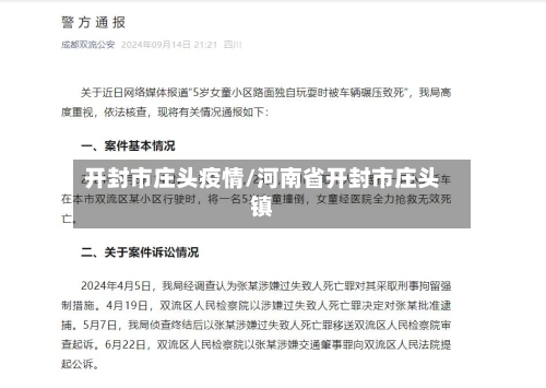 开封市庄头疫情/河南省开封市庄头镇-第1张图片