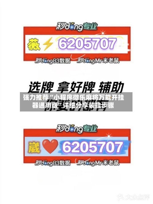 强力推荐“小程序微乐麻将万能开挂器通用版”详细分享装挂步骤-第3张图片