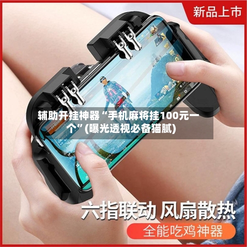 辅助开挂神器“手机麻将挂100元一个”(曝光透视必备猫腻)-第2张图片