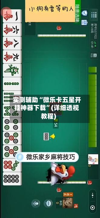 实测辅助“微乐卡五星开挂神器下载”(详细透视教程)-第3张图片