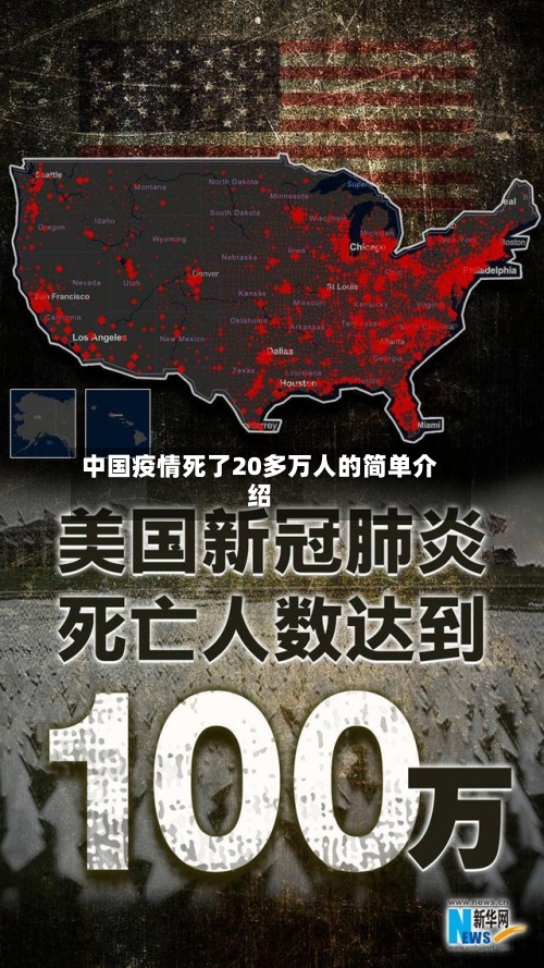 中国疫情死了20多万人的简单介绍-第3张图片