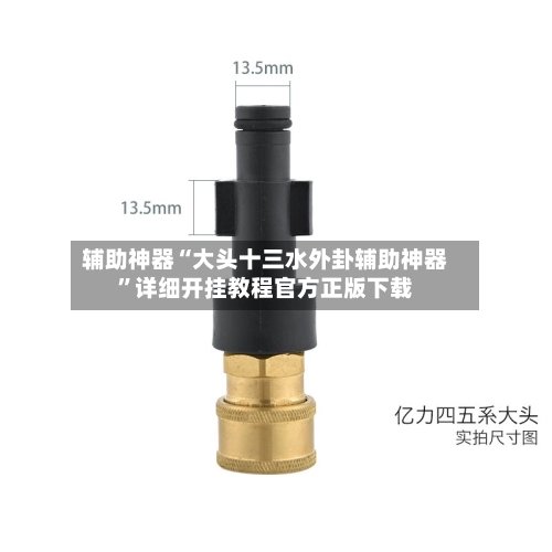 辅助神器“大头十三水外卦辅助神器”详细开挂教程官方正版下载-第3张图片