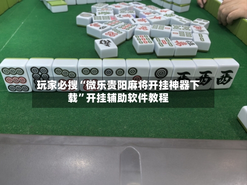 玩家必搜“微乐贵阳麻将开挂神器下载”开挂辅助软件教程-第1张图片